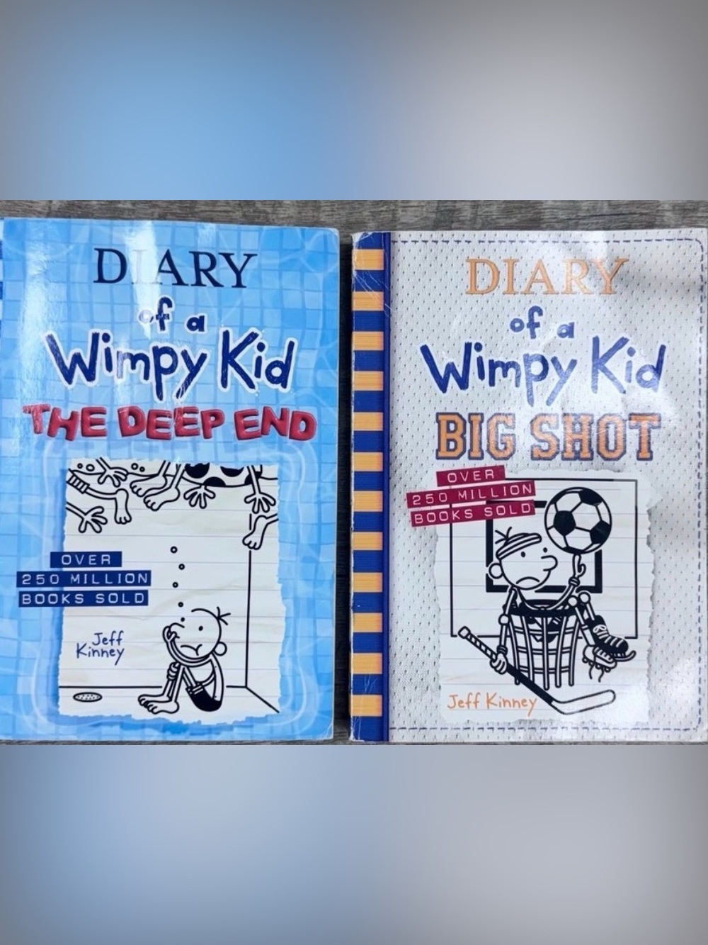 Diary of a Wimpy Kid Lot of 2 Paperback Books - The Deep End & Big Shot